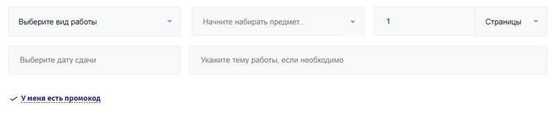 Внешний вид формы FastFine